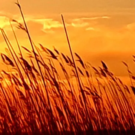 Hotel Am Markt & Brauhaus Stadtkrug Ueckermünde