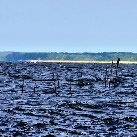 Am Markt & Brauhaus Stadtkrug